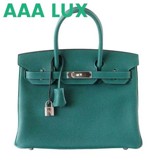 Replica Hermes Birkin 25 Bag in Togo Leather with Gold Hardware 6
