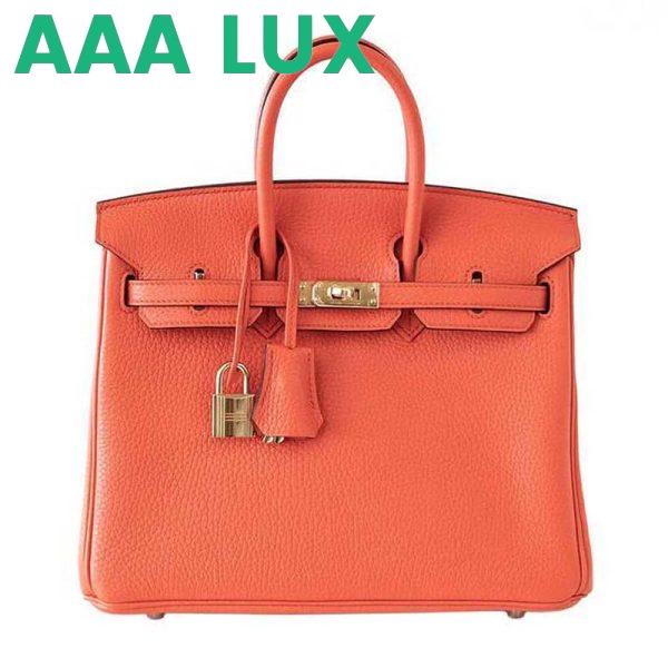 Replica Hermes Birkin 25 Bag in Togo Leather with Gold Hardware 8