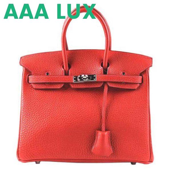 Replica Hermes Birkin 25 Bag in Togo Leather with Gold Hardware 10
