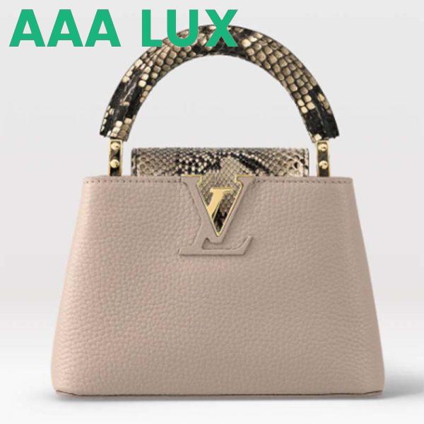 Replica Louis Vuitton LV Women Capucines Mini Handbag Galet Gray Taurillon Python Leather