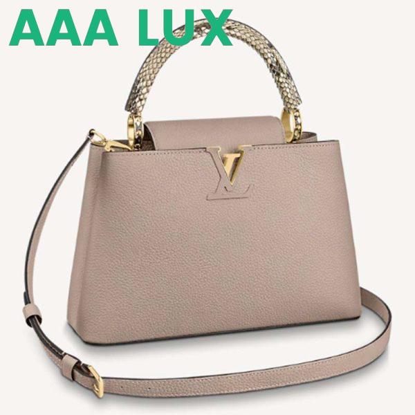 Replica Louis Vuitton LV Women Capucines MM Handbag Grey Taurillon Cowhide 2