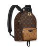 Replica Louis Vuitton LV Women Palm Springs PM Backpack in Monogram Reverse Coated Canvas-Brown